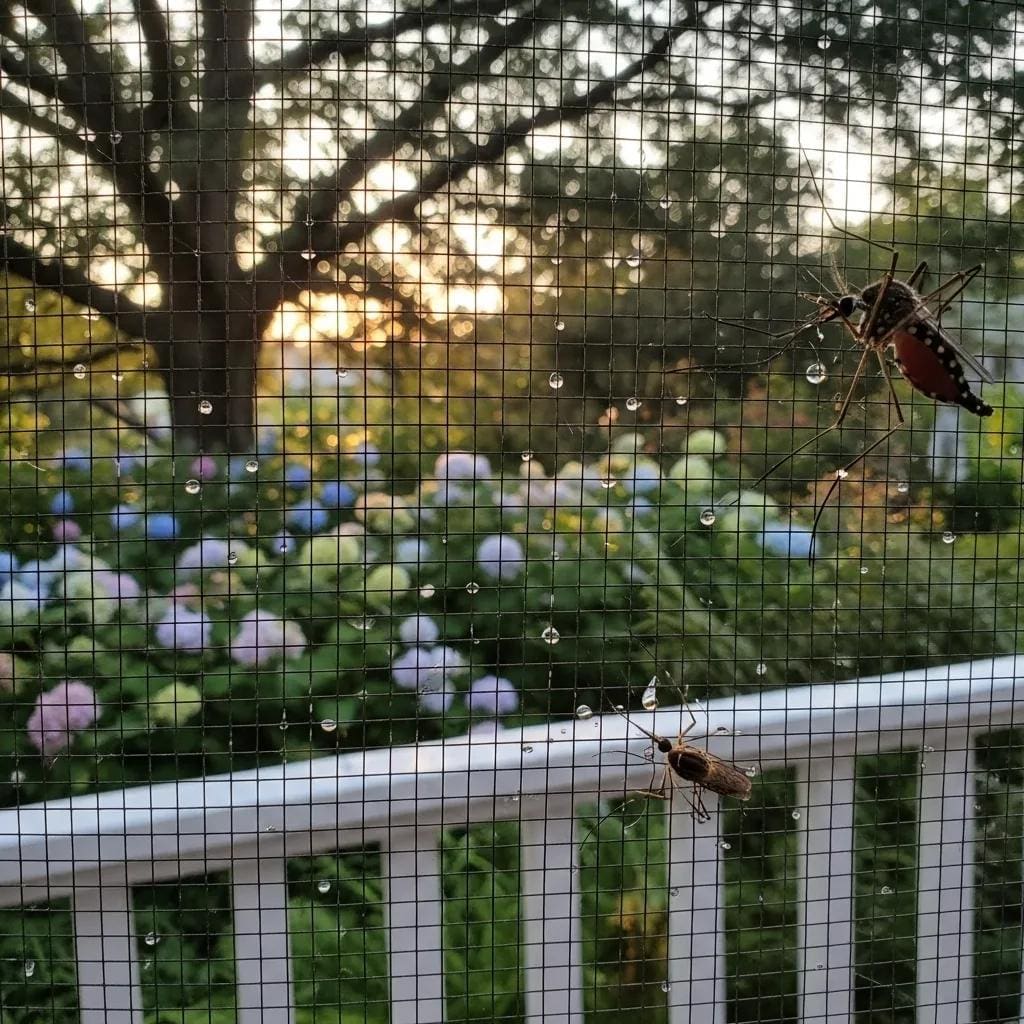 Close-up of fine mesh screens on a screened porch, showcasing effective pest protection with visible insects outside and a blurred garden background featuring hydrangeas and sunlight.
